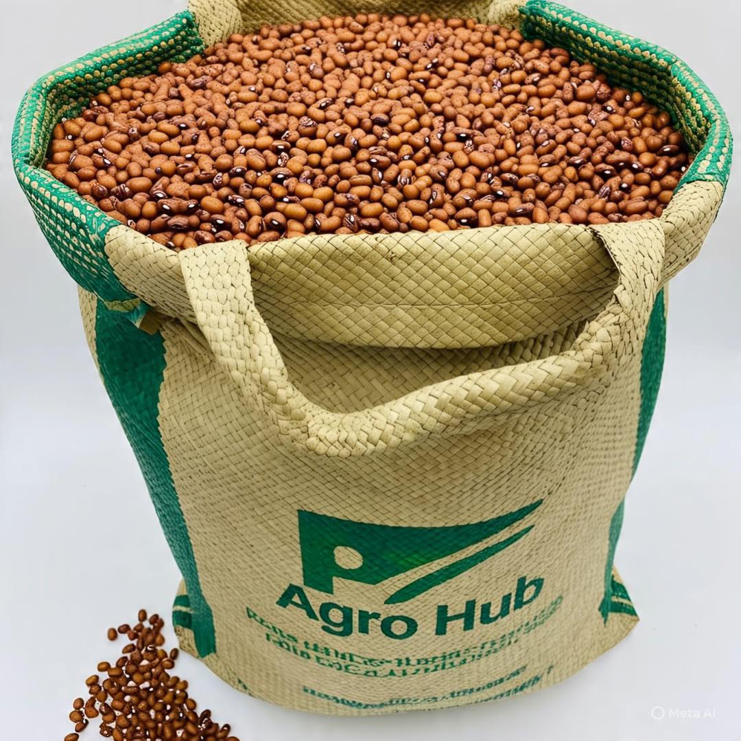 Better Basics French Terry Sweatshorts