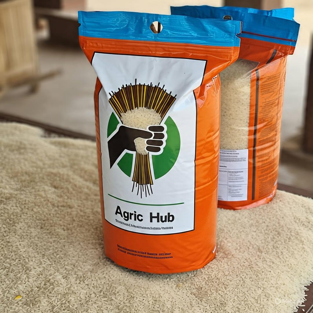 Trekking & Running Shoes - black