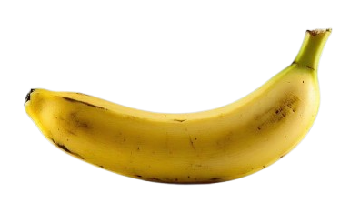 relaxed short full sleeve t-shirt