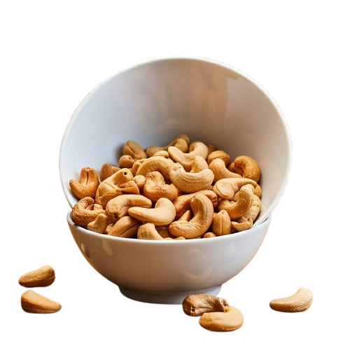 better basics french terry sweatshorts