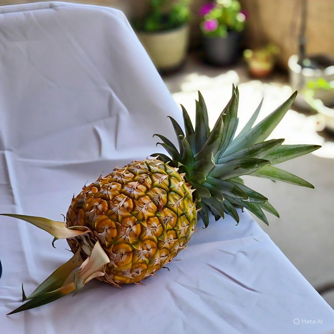 Casual Men's Brown shoes