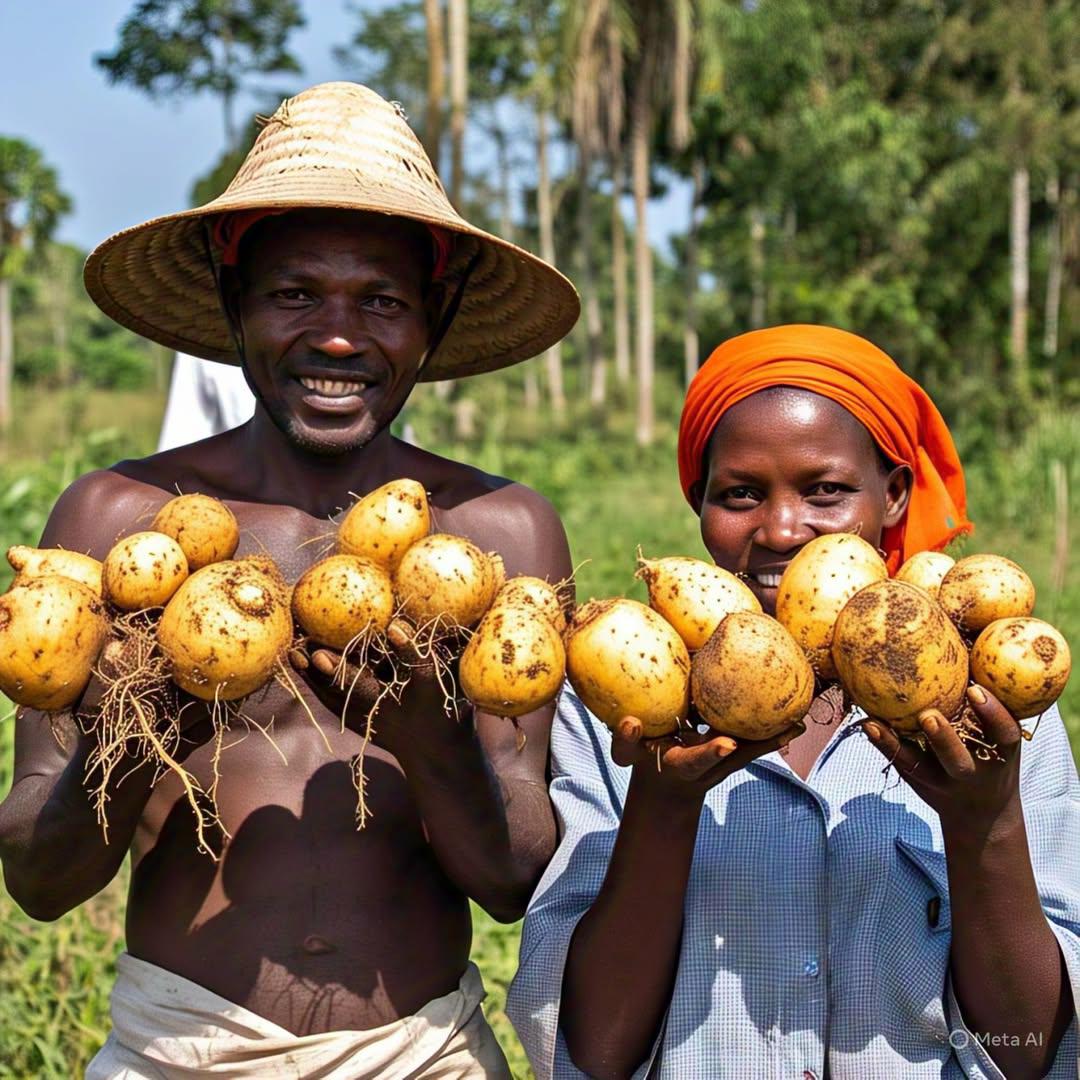 Curbside fashion Trends: How to Win the Pickup Battle